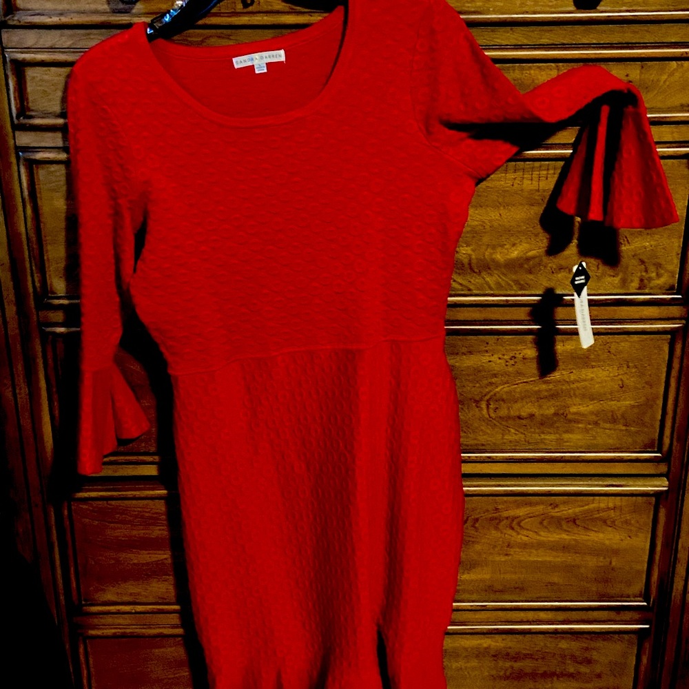 Net stunning red dress bell sleeves
